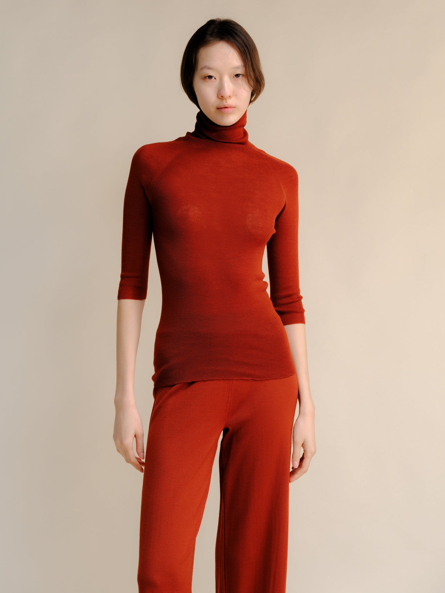 Extra Fine Merino Wool 3/4 Sleeve Ribbed Turtleneck  (3D-Knit)-12